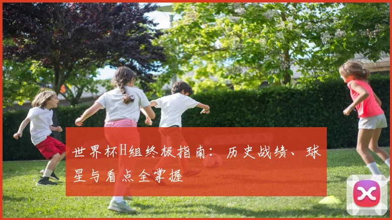 世界杯H组终极指南:历史战绩、球星与看点全掌握