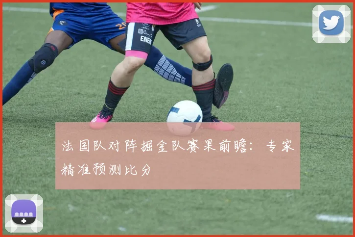 法国队对阵掘金队赛果前瞻:专家精准预测比分