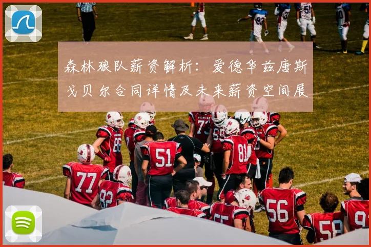 森林狼队薪资解析:爱德华兹唐斯戈贝尔合同详情及未来薪资空间展望(2024)