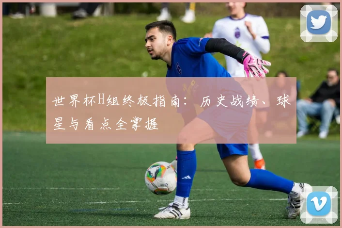 世界杯H组终极指南:历史战绩、球星与看点全掌握