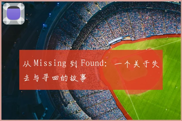 从 Missing 到 Found：一个关于失去与寻回的故事